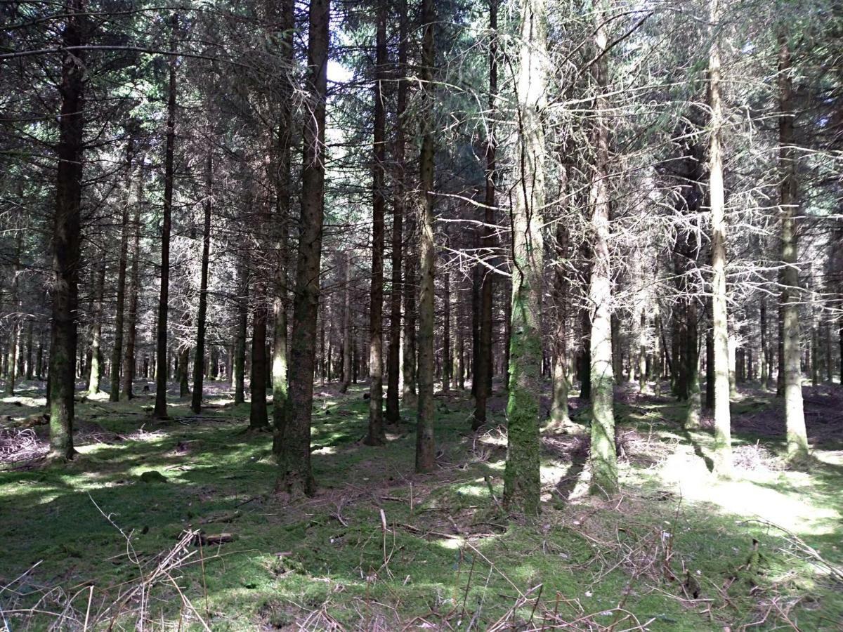 شقة Oh Deer! Vaux-sur-Sure المظهر الخارجي الصورة